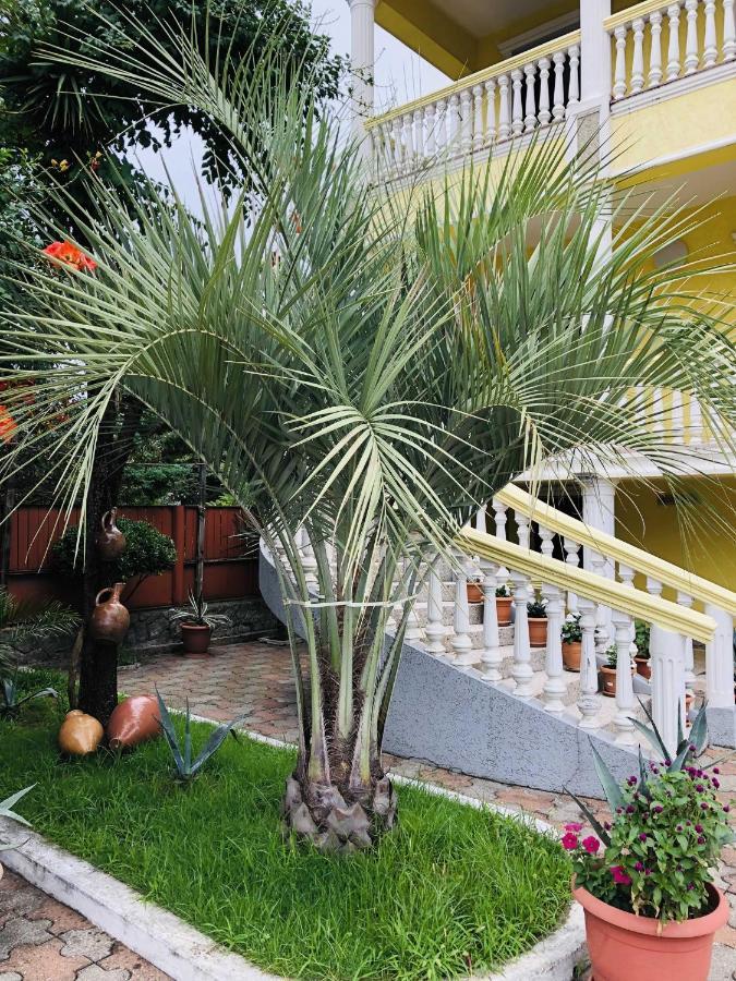Hotel George'S House Kobuleti Esterno foto